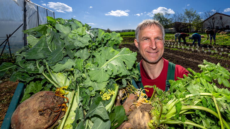 Gemeinsam für gesundes Gemüse: Darum teilt ein Biolandwirt seine Felder