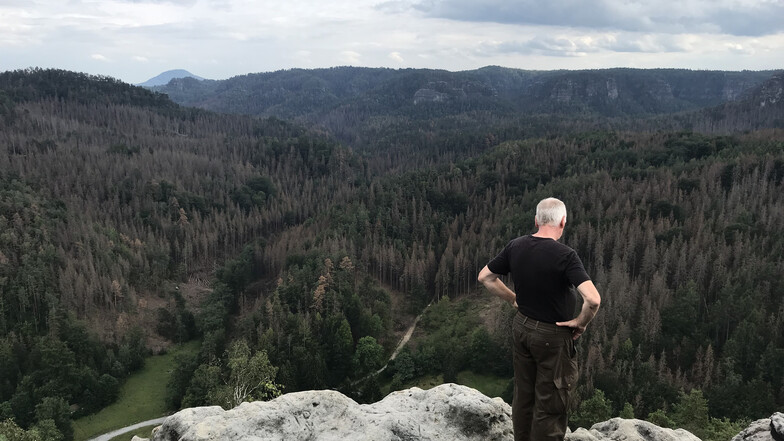 Ein Wanderer blickt vom Teichstein in den Großen Zschand Richtung Böhmen: Die Fichten sind flächendeckend braun. Der Wald wie wir ihn kennen, wird verschwinden.