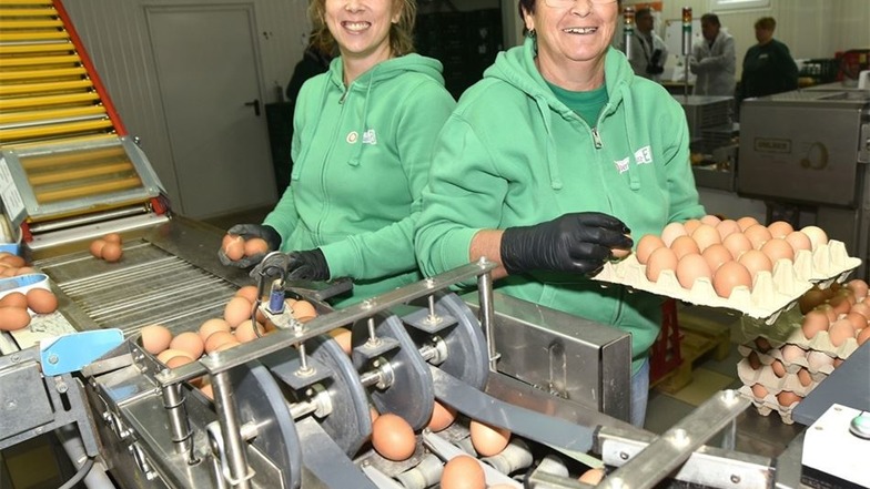 Ingrid Tischer (rechts) und Michaela Pfeiffer bei der Qualitätskontrolle der Eier.