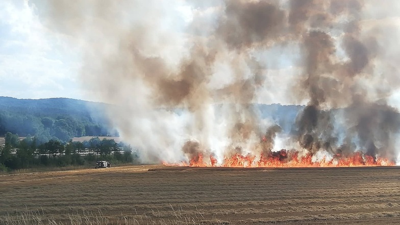 Feuerwehren löschen Feldbrand bei Kodersdorf