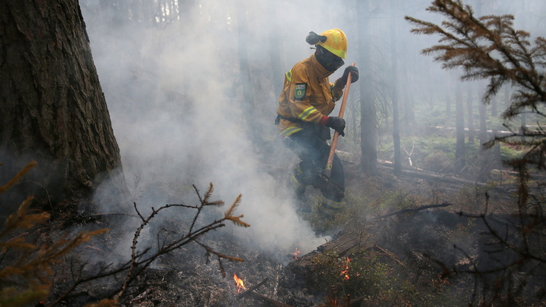400 Mitglieder von Feuerwehren aus dem Kreis Görlitz waren beim großen Waldbrand in der Sächsischen Schweiz im vergangenen Jahr im Einsatz.