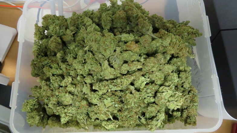 Etwa einen Kilogramm Marihuana stellte die Polizei bei einem Drogenfund in Hoyerswerda sicher.