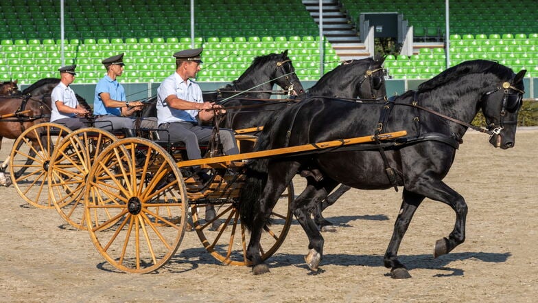 Die letzten Vorbereitungen für die Hengstparaden in Moritzburg laufen. Es ist ein besonderes Jahr, da die Premiere vor 100 Jahren stattfand, damals noch unter anderen Bedingungen.