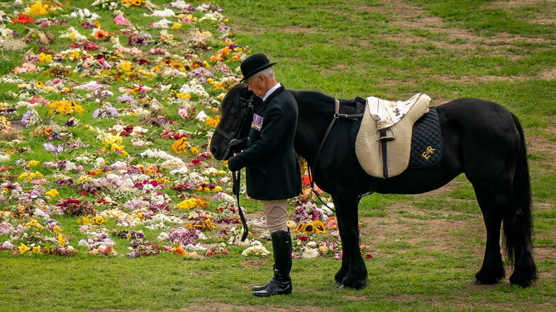 Emma, das Lieblingspferd der Queen, steht bei der feierlichen Prozession mit dem Sarg von Königin Elizabeth II. auf dem Gelände von Schloss Windsor neben einem Blumenmeer.