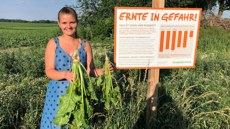 In ihrer rechten Hand hielt Vroni Hentschel im Juni vergangenen Jahres eine Zuckerrübe, die auf dem bestellten Feld (im Hintergrund links) mit Hilfe von modernem Pflanzenschutz wachsen konnte.