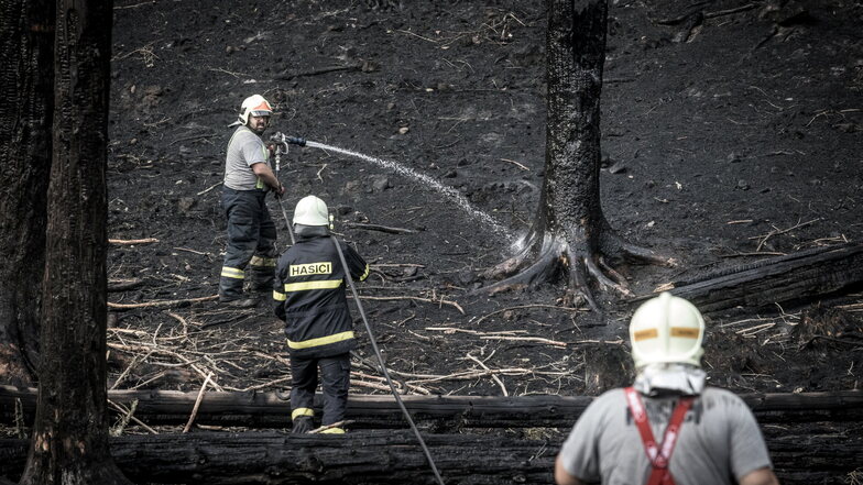 Einsatzkräfte der Feuerwehr löschen einen Waldbrand im Nationalpark Böhmische Schweiz.
