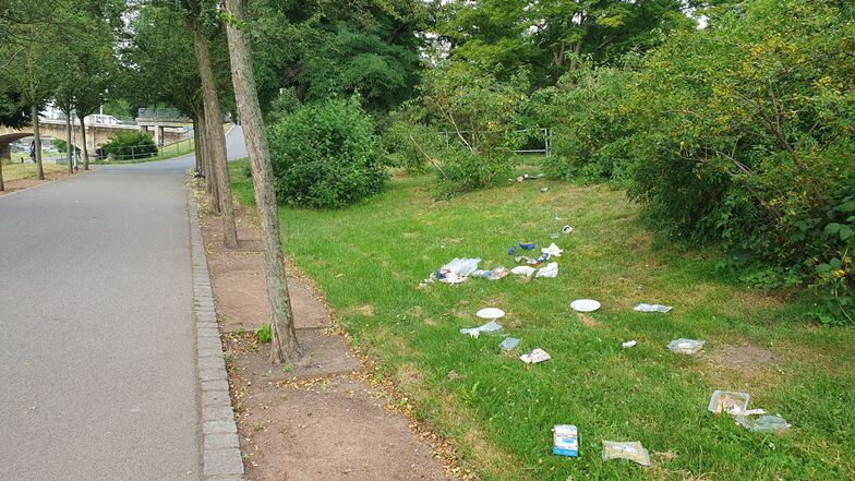 Ob Menschen die Wiese am Rosengarten in Dresden so hinterlassen haben, oder Krähen auf der Suche nach Futter den Müll verbreitet haben, ist unklar.
