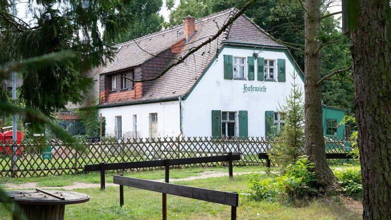 Die Hofewiese bei Langebrück in der Dresdner Heide verwandelt sich am Sonntag in einen Waldtrödelmarkt.