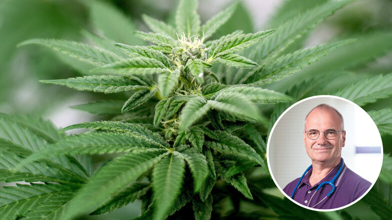 Zwei Tage vor der Abstimmung im Bundesrat warnt Sachsens Ärztepräsident Erik Bodendieck eindringlich vor der Freigabe von Cannabis.