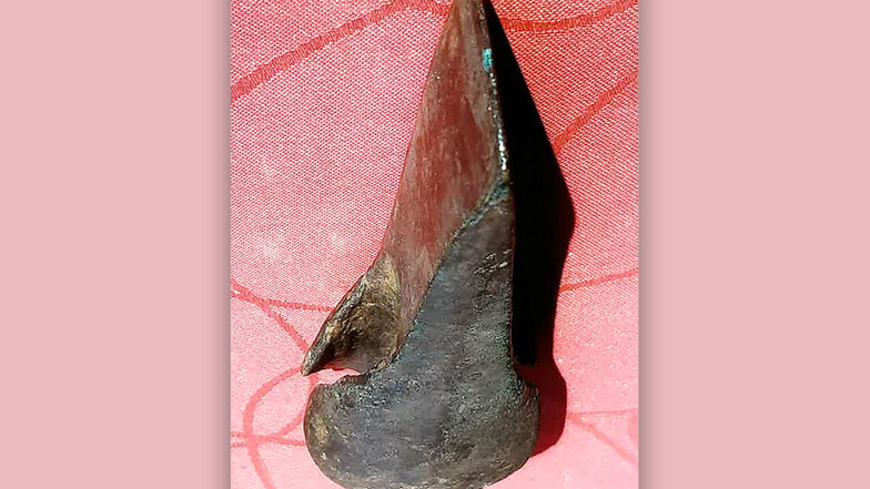 Dieses Beil aus der Bronzezeit wurde jetzt bei Bahretal gefunden.