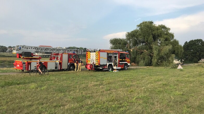 Die Feuerwehr rückte an die Elbe an, um den abgestürzten Baum vom Elberadweg zu schaffen.
