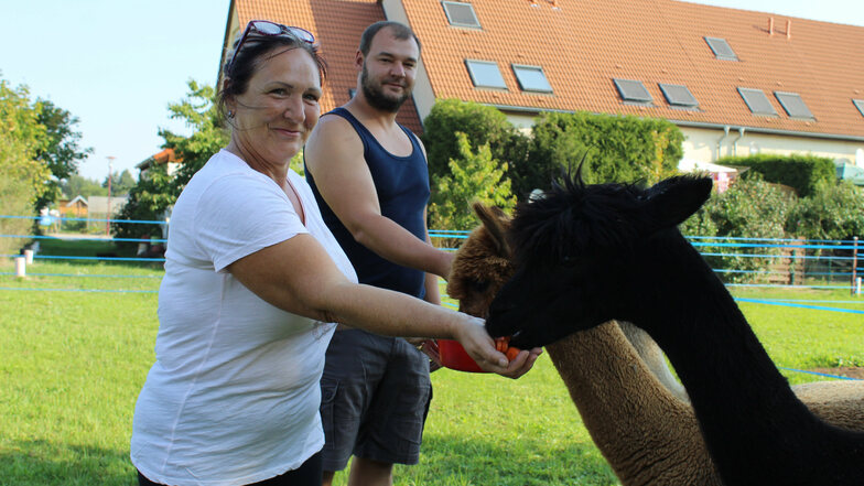 Kerstin Richter und ihr Schwiegersohn Marcel Tischer füttern ihre Alpakas auf der Wiese hinter dem Reihenhaus, in dem mehrere Familien wohnen.
