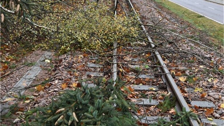 Bäume auf Gleisen Weißeritztalbahn in Kipsdorf: Der Bahnverkehr wurde deswegen eingestellt.