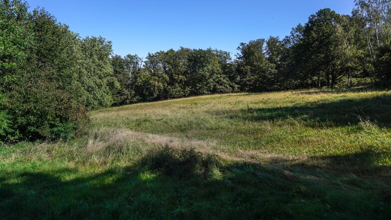 Über die Wiese könnte dann ein beleuchteter Weg zum Fernsehturm führen.