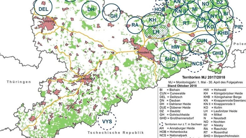 Wolfsvorkommen in Sachsen: Die Darstellung der Territorien ist schematisch. Tatsächlich grenzen die einzelnen Territorien überall aneinander oder überlappen sich teilweise.