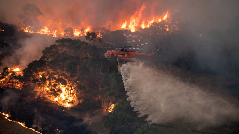 Leipziger Forscher finden globale Folgen großer Waldbrände