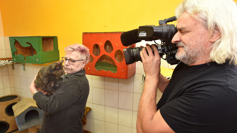 Die 18 Jahre alte Katze Babsi wird Fernsehstar. Kameramann Alexander Huf und sein Team drehten im Tierheim in Bischdorf.