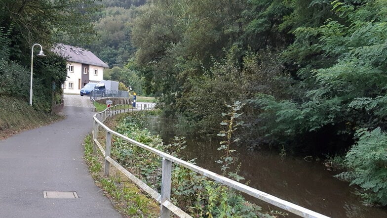 Hier drängt die Elbe die Kirnitzsch in Bad Schandau zurück. Das könnte kritisch werden.