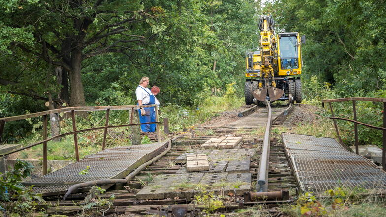 Mitarbeiter einer Gleisbaufirma aus Sachsen-Anhalt bauen mittels Bagger und weiterer Spezialtechnik in Nickritz Teile der kürzlich beschädigten Bahnbrücke zurück.