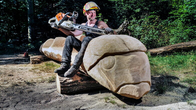 Waldarbeiter Tom Drobisch schnitzt eine Sitzbank in Form eines Borkenkäfers für eine Wegekreuzung im Prießnitzgrund in Klotzsche.
