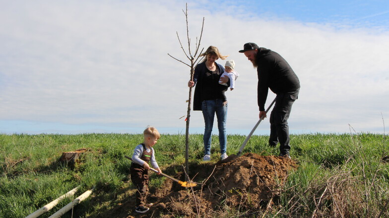Anfang April wurden in Roßwein und den Ortsteilen wieder Bäume für Mädchen und Jungen gepflanzt, die 2023 geboren worden waren. Auch Familie Stoppe freute sich über Nachwuchs. Deshalb waren die Gleisberger beim Pflanzen dabei.