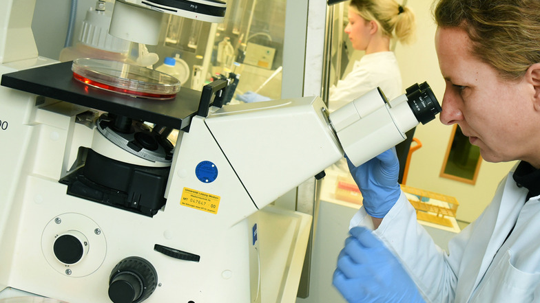 Eine Forscherin der Universität Leipzig bei der Arbeit am Mikroskop. An der Uni soll die KI von Viren erforscht werden.