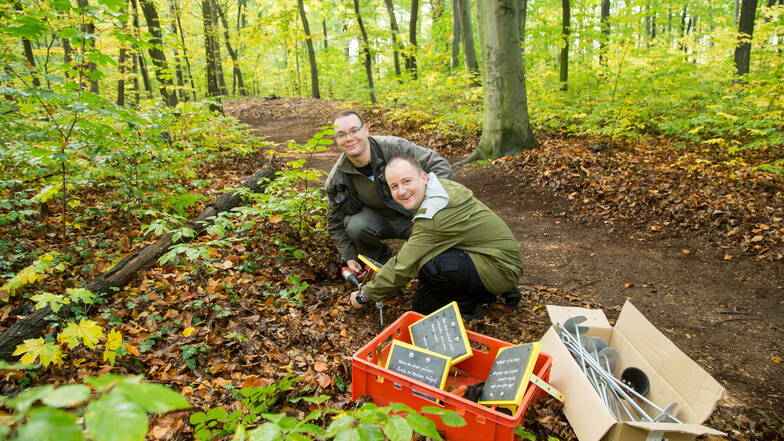 Jens Neumann (vorn) und Marcel Scholze gehören zu den Parkfreunden, die sich ehrenamtlich um den Monplaisir in Niesky kümmern. Dieser Park sollte zum Frühlingserwachen des MDR eine zentrale Rolle spielen.