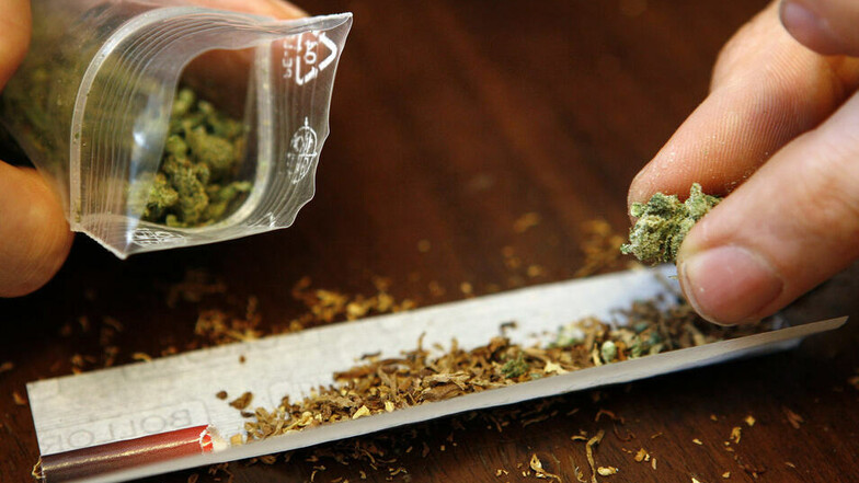 Ein Mann dreht sich einen Joint mit Marihuana. Den Rohstoff lieferte in der Oberlausitz laut Anklage auch ein Pärchen aus Zittau.