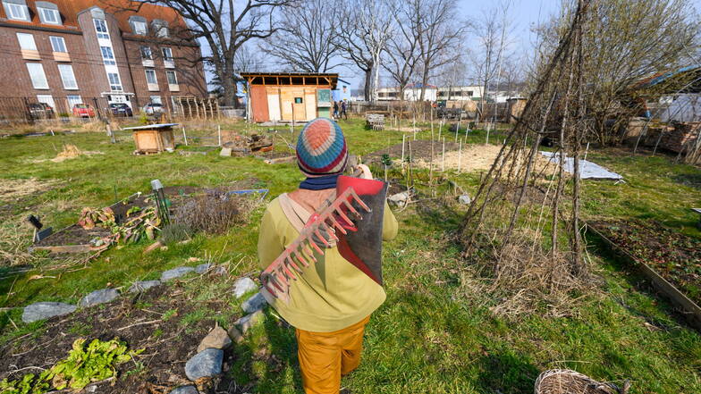 Sebastian Kaiser, Mitglied des Gemeinschaftsgartens Wurzelwerk Pieschen, läuft mit Gartengeräten durch die Anlage.