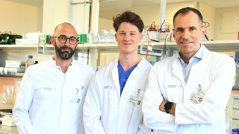 Eigentlich beschäftigt sich das Dresdner Bone Lab mit Knochen. Diesmal aber mit Covid. Die Wissenschaftler Prof. Lorenz Hofbauer, Nikolai Pirmin Jaschke und Tilmann Rachner (v.r.n.l.) kommen zu überraschenden Ergebnissen.