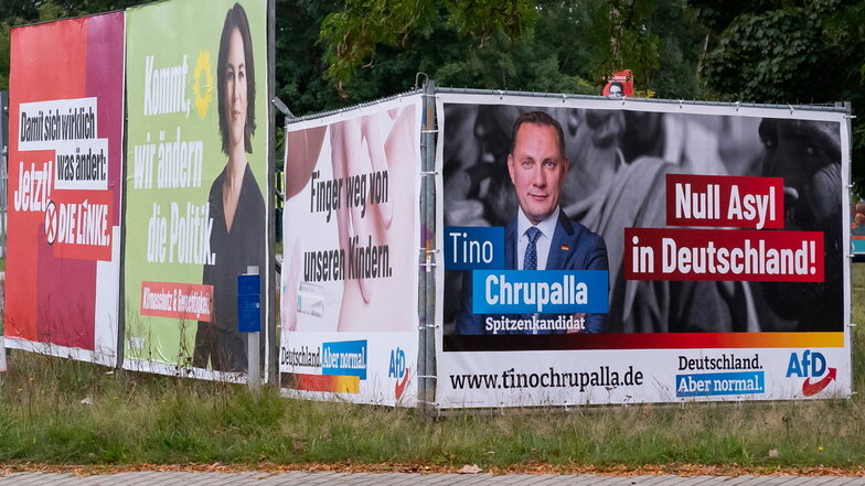 Bundestags-Wahlplakate in Weißwasser: Die Kluft von Anhängern der AfD und der Grünen ist besonders groß.