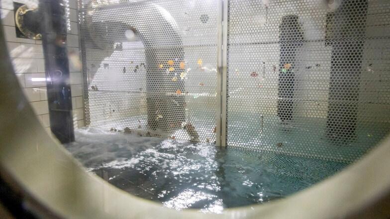Blick in einen Schwallbehälter. Hier kommt Badewasser aus den Überläufen der Becken an, bevor es weiter zum Filter fließt.