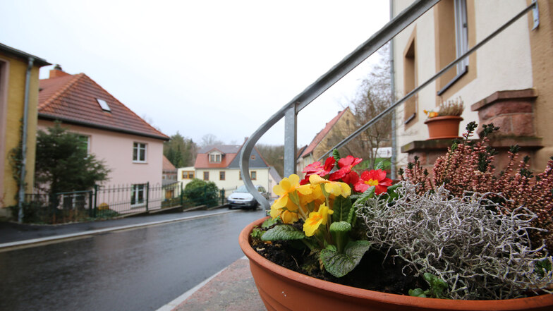 Auch hübsch sanierte Häuser und Blumengrüße sind auf dem Schlossberg zu finden.