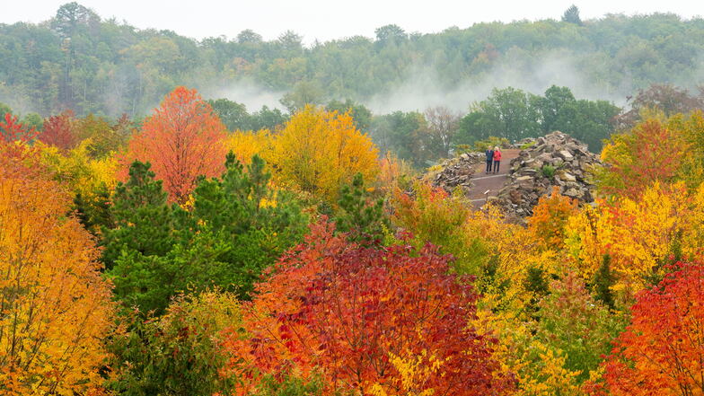Schöner Herbst: Forstgarten, Hochmoor und Botanischer Garten verlängern die Saison
