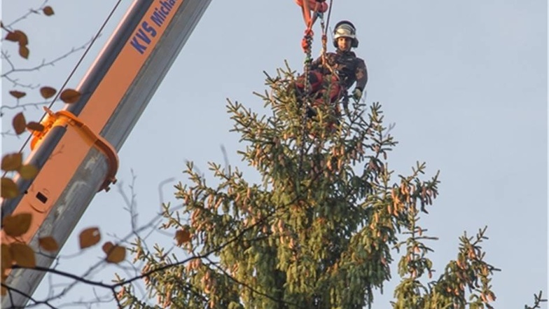 Kurz darauf baumelt der 38-Jährige über der Fichte und befestigt den Baum am Kran.Andreas Weihs