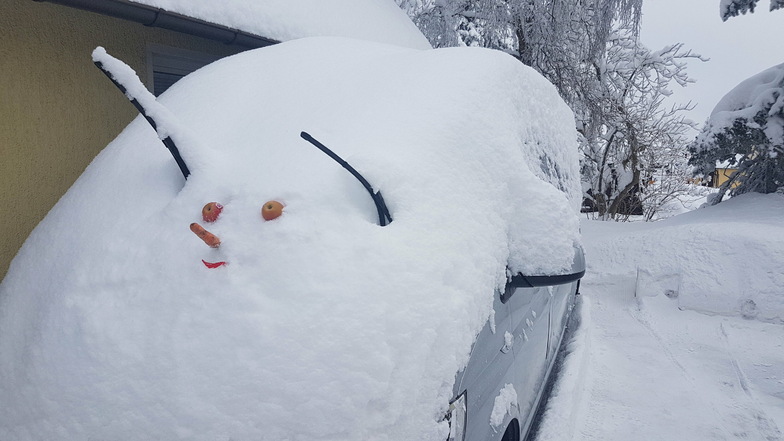 Als Leser Johannes Güttler aus Altenberg morgens sein Auto suchte, hatte es sich in ein ungeheures Schneeinsekt verwandelt.