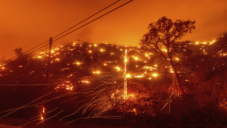 Bäume brennen an einem Hang bei einem Waldbrand in Vacaville. Mehr als zwei Dutzend Waldbrände lodern im US-Bundesstaat Kalifornien.