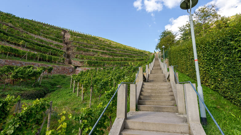 Die Lagen rund um die Jahrestreppe in Radebeul bringen in Sachsen mit die besten Tropfen hervor. Das soll künftig auf dem Etikett der Weinflasche noch stärker herausgestellt werden.
