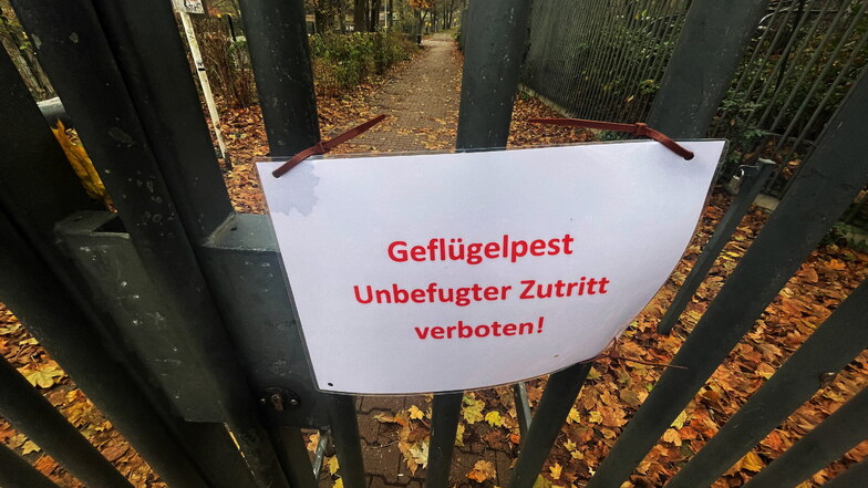 Geflügelpest im Kreis Bautzen: Zweite Sperrzone eingerichtet