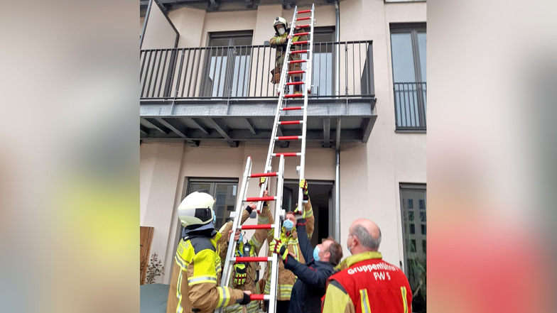 Die Tierrettung der Feuerwehr musste ausrücken, um eine Taube aus einem Netz am Balkon an der Marienstraße zu befreien.