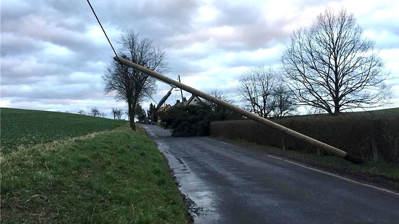 In Ziegenhain hatte der Sturm einen Baum in die Stromleitung gedrückt.