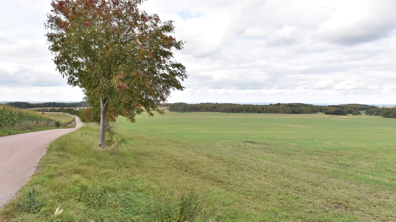 Die Liebenauer Bürger haben mit eindeutiger Mehrheit Pläne abgelehnt, auf den Wiesen östlich vom Ort eine Lithium-Aufbereitung zu errichten.