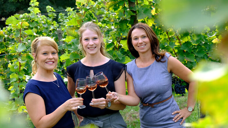 Jenny Zumpe, Ann-Kathrin Schatzl und Katja Böhme (v.l.) heißen die drei Kandidatinnen zur Wahl der 32. Sächsischen Weinkönigin. Am Donnerstag präsentierten sie sich erstmals auf Schloss Proschwitz einer Fachjury.