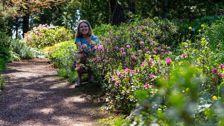 Annette Zimmermann lädt an diesem Sonntag zu Führungen durch den Botanischen Garten in Schellerhau ein.