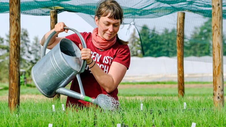 Dein Hof in Radebeul: "Die klassische Landwirtschaft laugt die Böden aus"