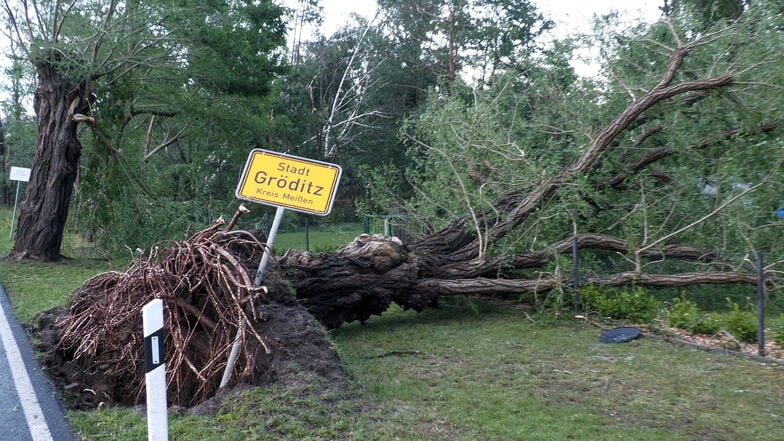 Ein umgefallener Baum liegt neben dem Ortsschildd von Gröditz. Heftige Niederschläge und starke Windböen sind am Dienstag über Teile Sachsens hinweggezogen.