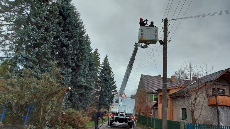 Ein umgestürzter Baum auf einer Leitung sorgte zeitweise für einen Stromausfall in Horka.