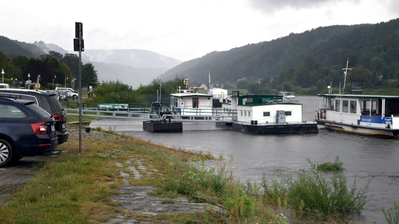 Nach derzeitigen Prognosen würde die Elbe in Bad Schandau am Sonnabendnachmittag die Warnstufe 1 erreichen, Sonntagfrüh dann bereits die Warnstufe 2 und in der Nacht zum Montag die Warnstufe 3.