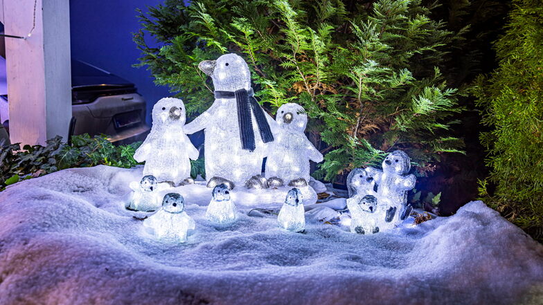 Leuchtende Pinguine im ganzen Rudel: Die Weihnachtsdeko von Familie Herbst in Pirna-Birkwitz ist ein beliebtes Fotomotiv.