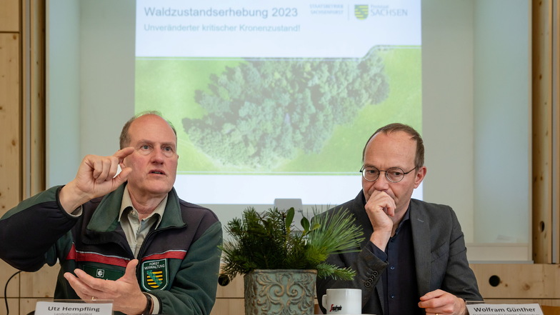 Sachsens Forstminister Wolfram Günther (Grüne, rechts im Bild) und Landesforstpräsident Utz Hempfling sehen neue Risiken für Sachsens Wald.
